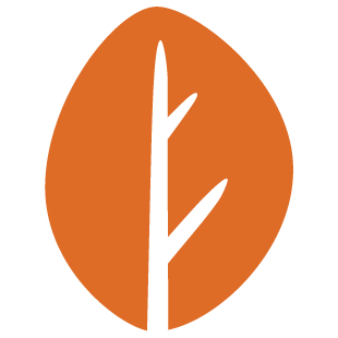 tapclickfun.com favicon